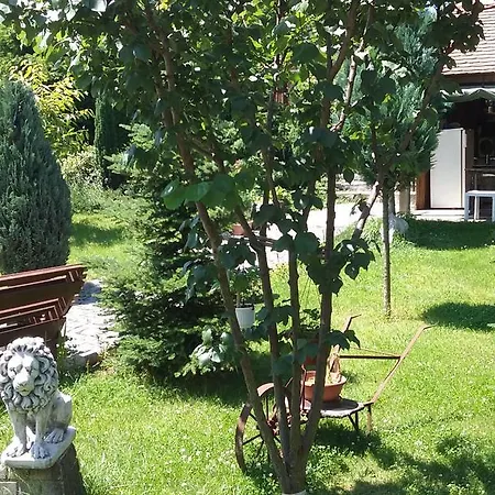 Guest house Hugo 3*